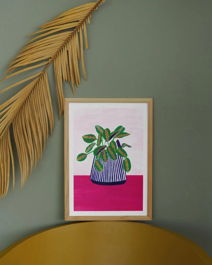 affiche calathea encadrée